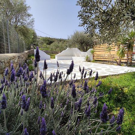 Il Canto Delle Cicale Agia Marina  Exterior photo