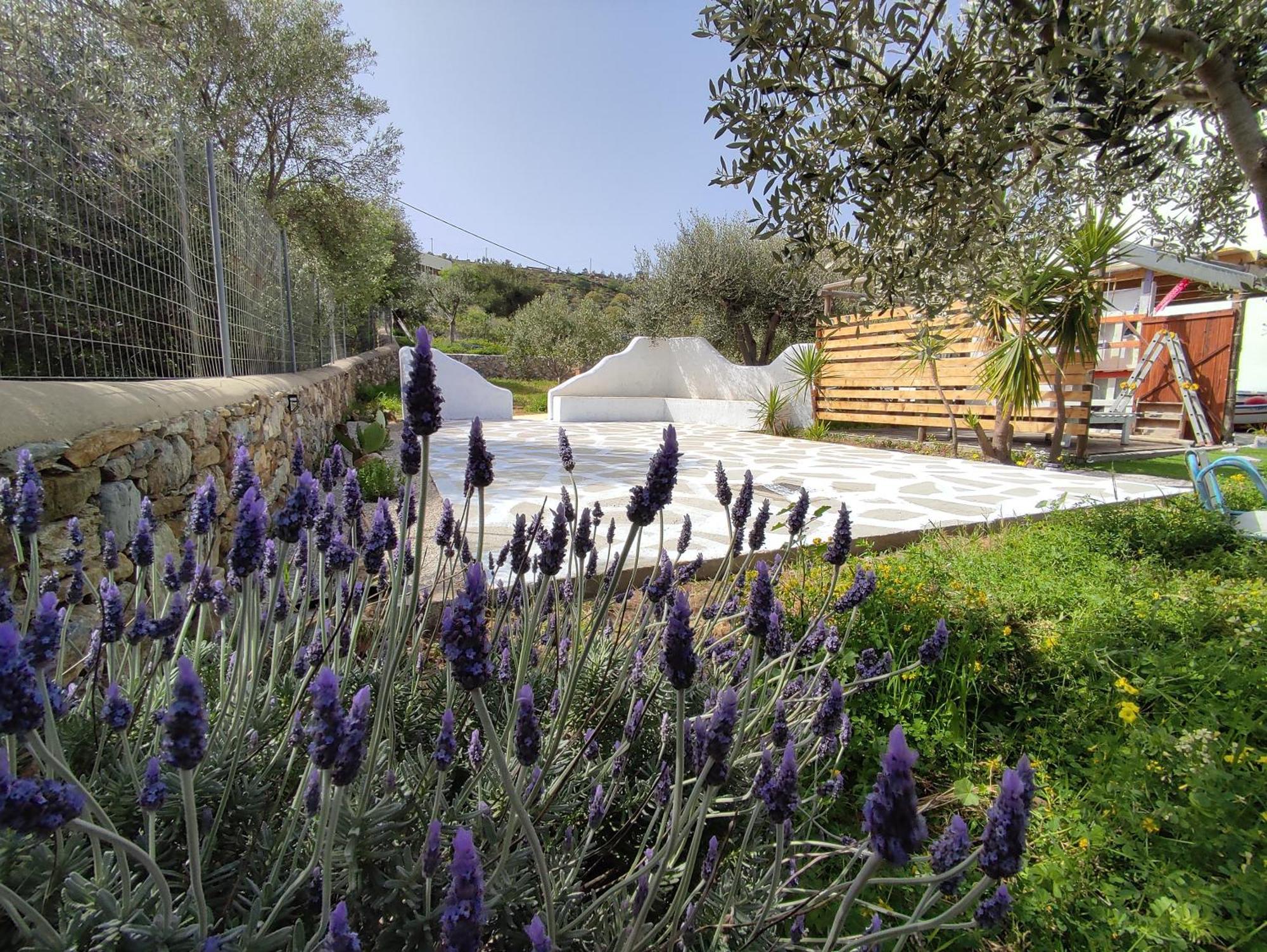 Il Canto Delle Cicale Agia Marina  Exterior photo